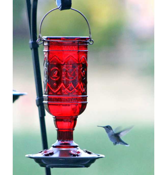 Jewel Red Hummingbird Feeder 20 oz.